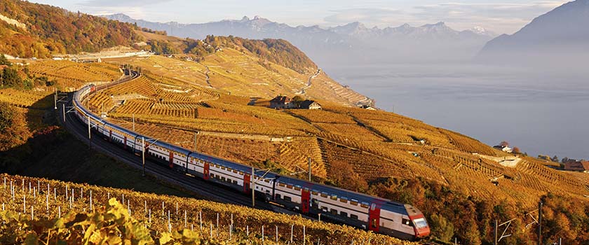 The Swiss touch retains its value