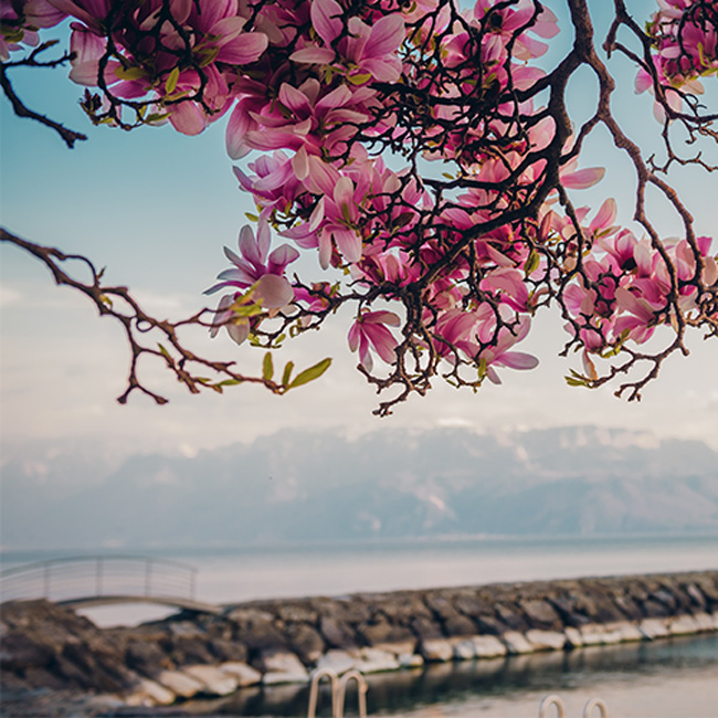 Two wealth management models, one shared future: what Switzerland and Asia can learn from each other